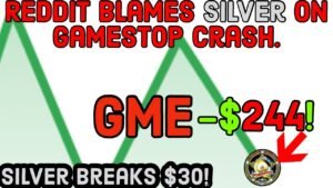 REDDIT Blames Silver on GameStop Stock Crash! Silver Breaks 30! $45 Silver Eagles?