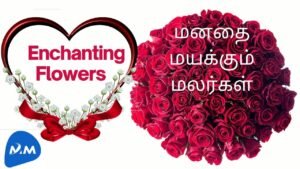 Flowers that Came in Different Colors | மயக்கும் மலர்கள் | Tamil | Master Mano | MM | V101