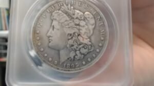 ANACS Submission Reveal – Is It 1895 O Morgan?