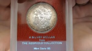LARGE Redfield Paramount Collection Morgan Dollar & Peace Purchase – Morgan Bag Open Reveal