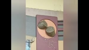 RBI MONEY MUSEUM DETAIL VIDEO