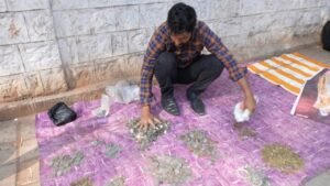 Bangalore Street Coin Sellers