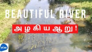 Beautiful Rivers Flow Towards The Sea | அழகான ஆறு | Tamil | Master Mano | MM | V116