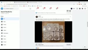 The Morgan Dollars You Get From Fraudulent Facebook Ads