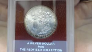 Redfield Morgan Dollars My Personal Cherry Picks Of The Lot