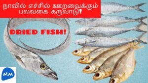 A Variety of dried Fish | வித விதமான கருவாடு | Sea Fish | Tamil | Master Mano | MM | V150