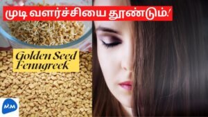 Fenugreek – Sole Remedy for all Ailments | சர்வரோக நிவாரணி வெந்தயம் | Tamil | Master Mano | MM |V140