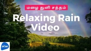 Relaxing Rain Video | Relaxing Rain Sounds | மழை துளி சத்தம் | Tamil | Master Mano | MM || V139