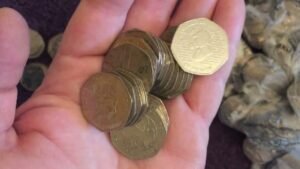 The Reality of Coin Hunting – 50p Bag #76