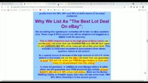 Is 80 Ounce Lot Of Silver Coins A Scam ? Should I Buy One ?