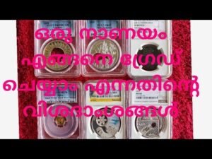 COIN GRADING NGC AND PCGS