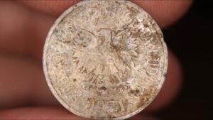 1971 Poland 10 Groszy Coin • Values, Information, Mintage, History, and More