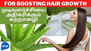 How to Grow Natural Hair with Aloe Vera? | முடி அடர்த்தியாக வளர கற்றாழை | Tamil |Master Mano|MM|V168