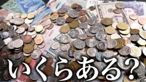 大量の所持外貨いくらある？ Money count