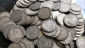 Today’s Hunt …..