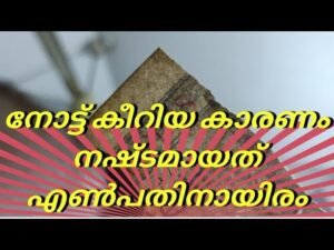 നോട്ട് കീറിയ കാരണം നഷ്ടമായത് എൺപതിനായിരം രൂപ | French India Note
