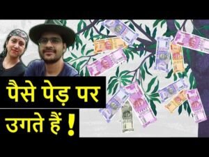 पैसे पेड़ पे उगते है! कैसे? | Money Tree, Farm Fresh Apples Farm Tour | Kullu Shimla Apples
