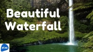 The Great view of a Waterfall | Beautiful view of a Waterfall | நீர்வீழ்ச்சி | Master Mano | MM|V208
