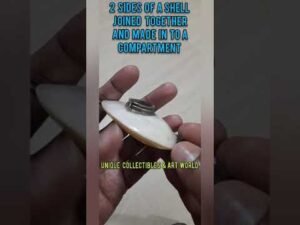 Polished Sea Shell Trinket Box #shorts