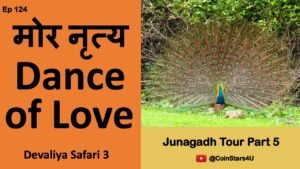 Ep 124: Peacock Dance of Love: मोर नृत्य: Devaliya Safari 3 : Junagadh Tour Part