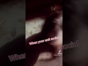 Being Antisocial is fun!