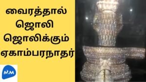 Kanchipuram Ekambaranathar Temple | ஜொலி ஜொலிக்கும் ஏகாம்பரேஸ்வரர் | Master Mano | MM | V219 #shorts