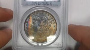 Natural And Artificial Toned Morgan Dollars