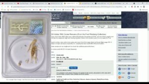 PCGS “Grades” Slabs An Insect – Yes! It’s A Cricket