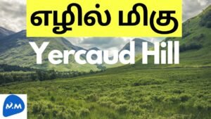 Most Beautiful Yercaud Hill | View of Yercaud | எழில் மிகு ஏற்காடு மலை | Tamil | Master Mano | V255