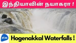 ‘Niagara Falls of India’ Hogenakkal Falls | ஒகேனக்கல் நீர்வீழ்ச்சி | Master Mano | MM | V247 #Shorts