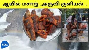 Oil Massage and Hogenakkal Waterfall Bath | அருவியில் ஆயில் மசாஜ் | Tamil | Master Mano|V237 #Shorts