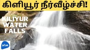 Killiyur Falls | Amazing Waterfalls | ஆர்ப்பரிக்கும் அருவி | Tamil | Master Mano | MM | V228 #Shorts