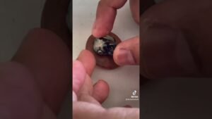 Hercules Beetle Head Mount