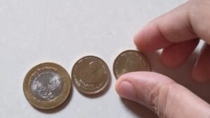 केहते हैं की ये आखरी commemorative सिक्के in circulation…