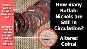 Coin Roll Hunting Buffalo Nickels: Yes They Are Still in Circulation!