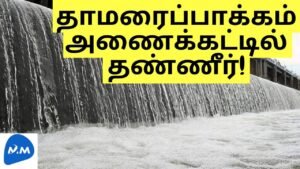 Heavy Rain – Water Flows Like a River | Thamaraibakkam Anaicut | அணைக்கட்டு|Master Mano|V274 #Shorts