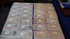 Cameroon 1000 Francs & 500 Francs banknote value and the features central bank of Africa