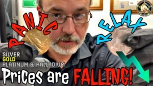 Metals Prices Are FALLING! My Local Bullion Dealer Shares His Thoughts