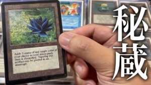 【秘蔵品】2000万円超!! MTG愛好家社長のコレクションがヤバすぎた…【大量査定】MTG big assessment