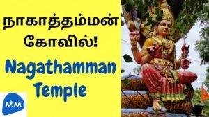 Nagathamman Temple in Karanodai | நாகாத்தம்மன் ஆலயம் | Tamil | Master Mano | MM | V288 #Shorts