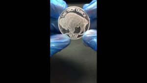 Silver Buffalo or Should I Say Bison #shorts