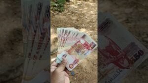 Zambia 50 Kwacha USED Banknote #shorts #banknotes #english