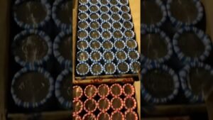 Coin Roll Hunting Frustration