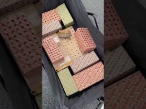 Insane amount of coins!