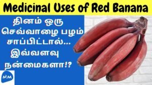 Red Banana Advantages in Tamil | செவ்வாழையின் மருத்துவ பயன்கள் | Red Banana | Master Mano | MM |V300