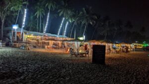 What is special in Palolem beach Goa?