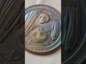 2020 national park quater