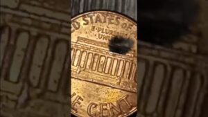 Pocket change error penny’s 1982 d 1971