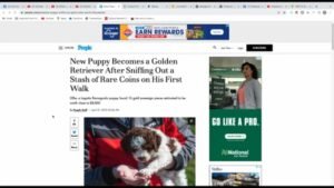 Puppy Discovers $8,000 Gold! New Portsmouth Note – We Lost Our Husky Siku