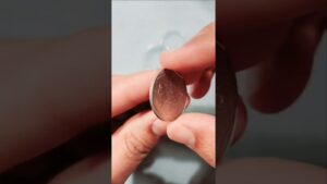 Chillar gyan 🤩 cost rs.100 150 🤩scarce 1 rupee coin 1989n 🤑